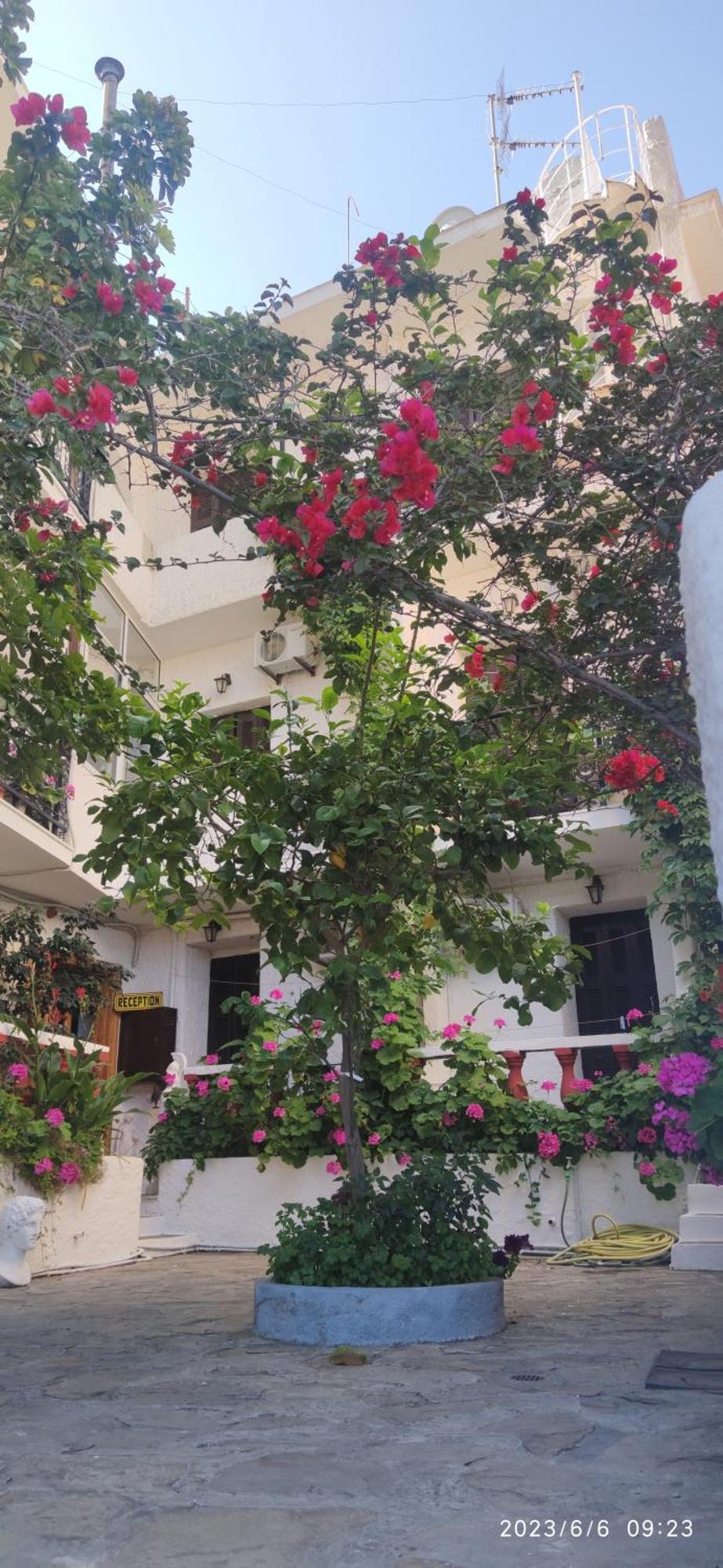 Odysseas Hotel Samos Экстерьер фото